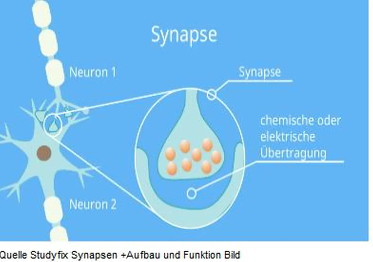 Kindertagespflege Klatschmohn - Diagramme