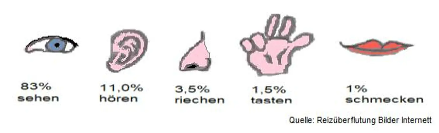 Kindertagespflege Klatschmohn - 5-Sinne-Diagramm