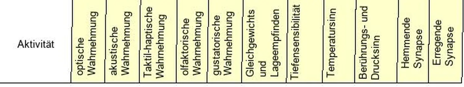 Kindertagespflege Klatschmohn - Bewusste Reize in meiner Tagespflege