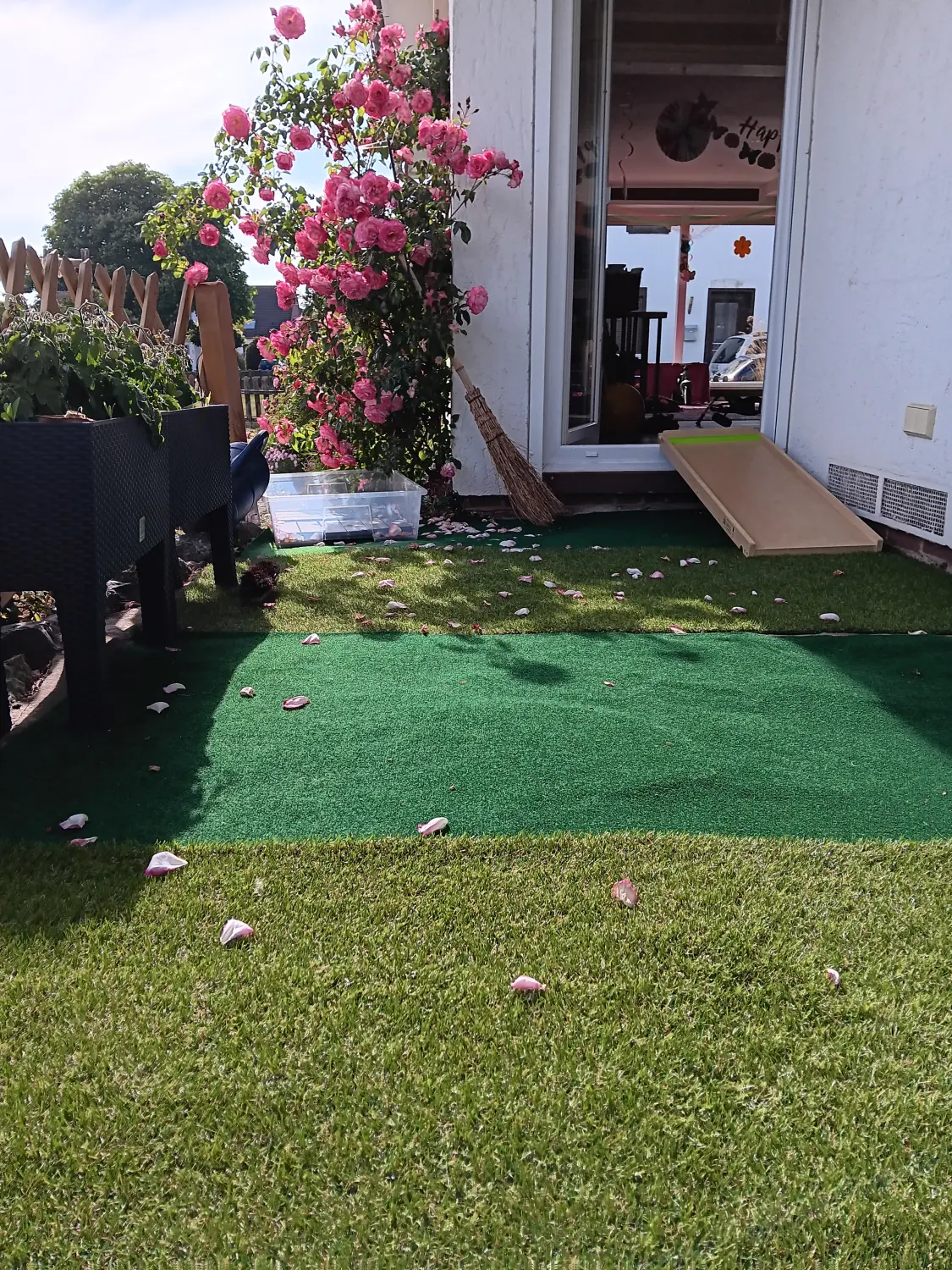 Kindertagespflege Klatschmohn - Kindertagesstättenraum